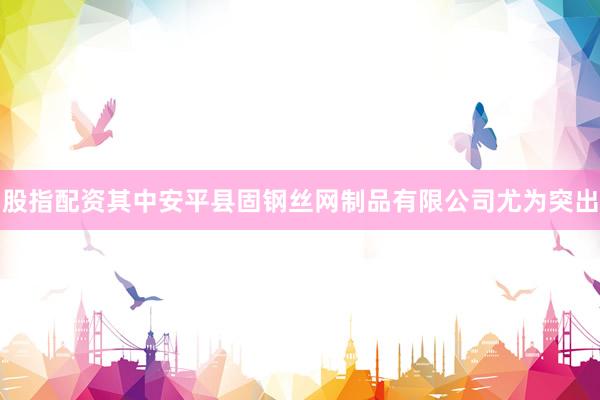 股指配资其中安平县固钢丝网制品有限公司尤为突出