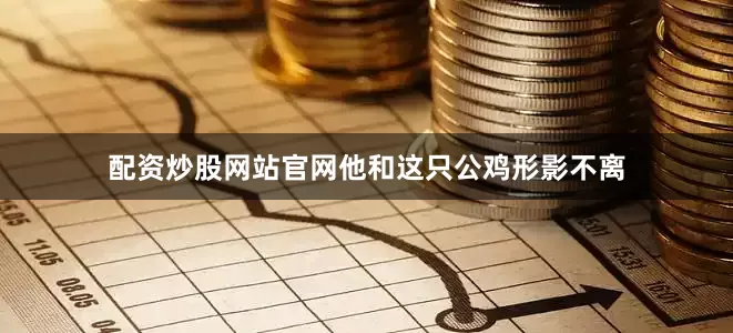 配资炒股网站官网他和这只公鸡形影不离